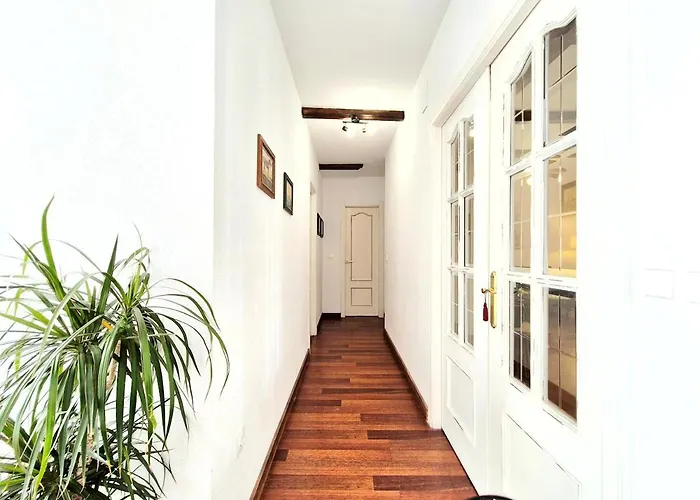 Bhost - Calma * Кордова